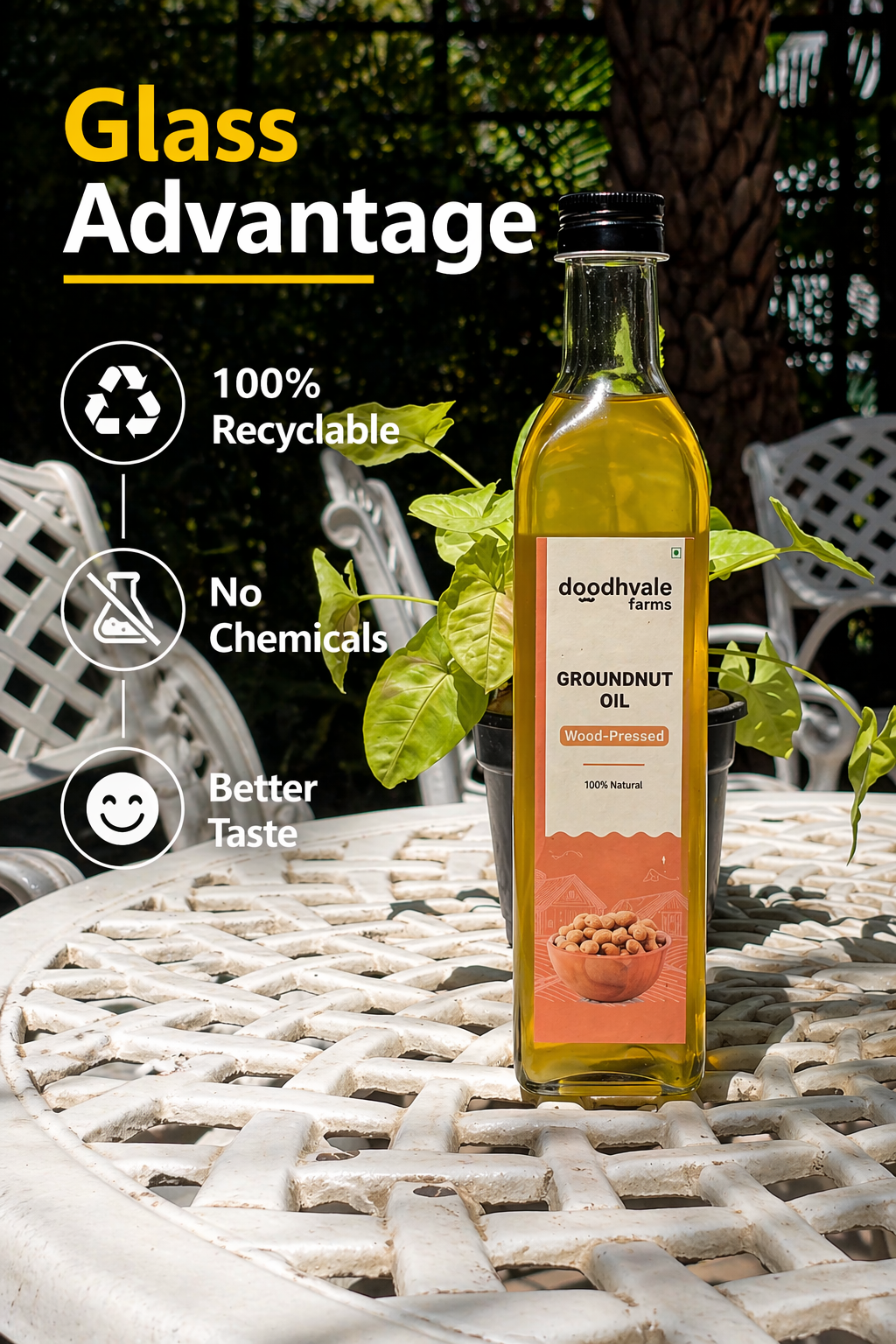Groundnut Oil - Wood Pressed 500ml (2 Unit Pack)