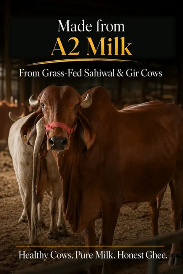 Cow A2 Vedic Desi Ghee - Buy 1 Get 1 Free