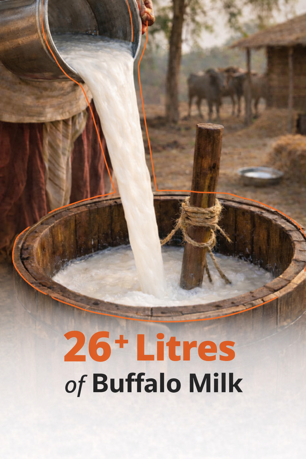 Royal A2 Buffalo Desi Ghee