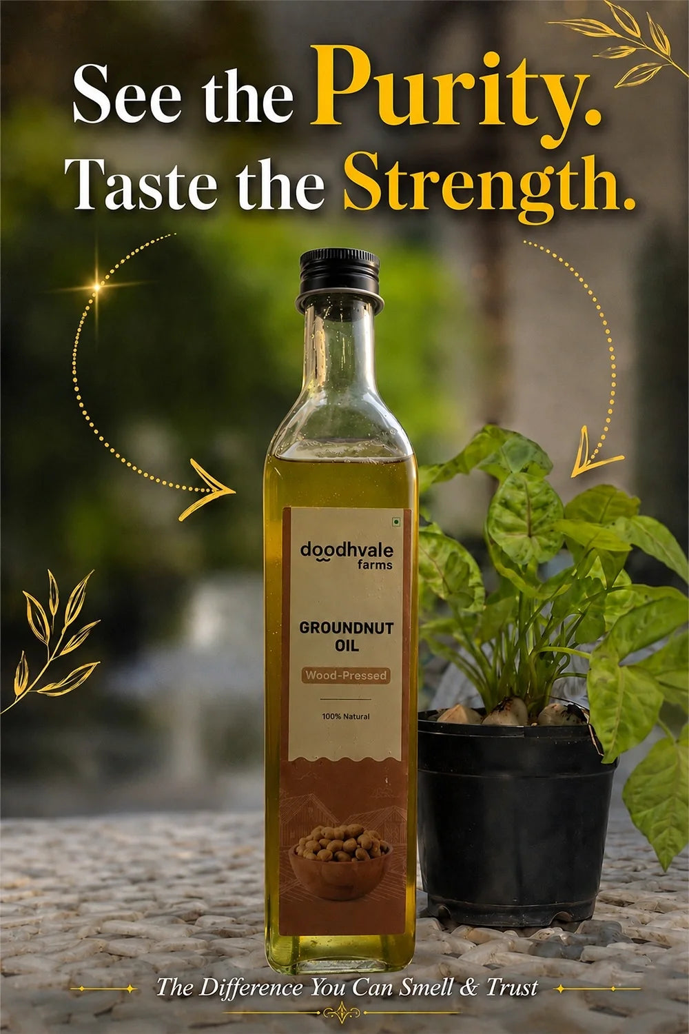 Groundnut Oil - Wood Pressed 500ml (2 Unit Pack)