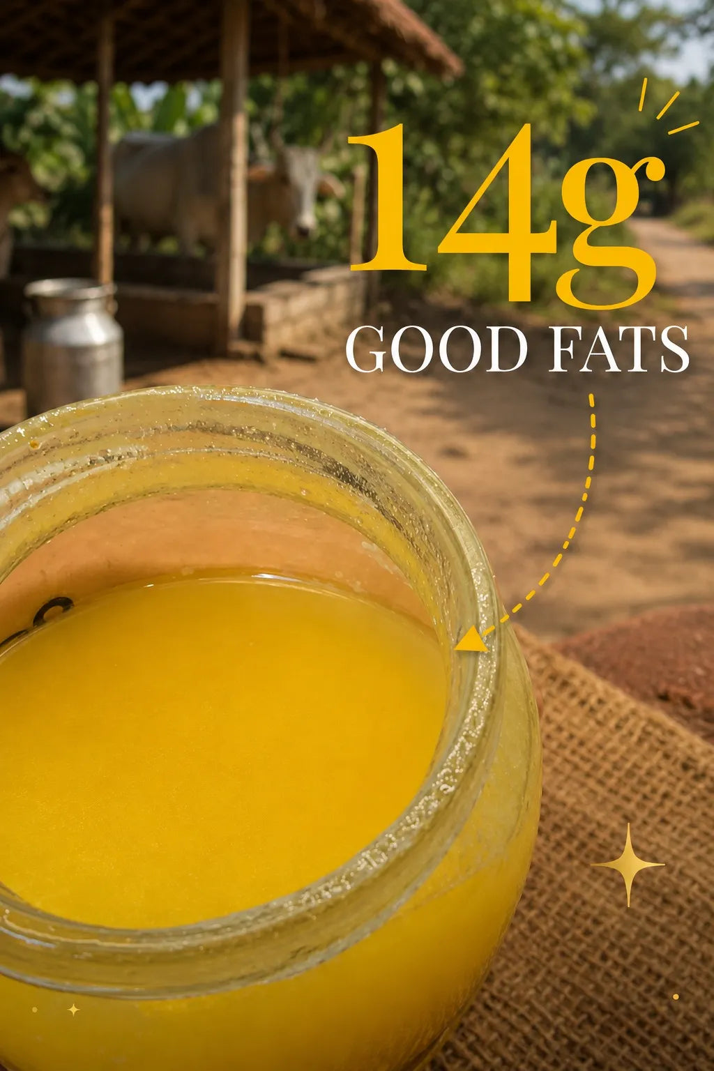 Cow A2 Vedic Desi Ghee B1G2