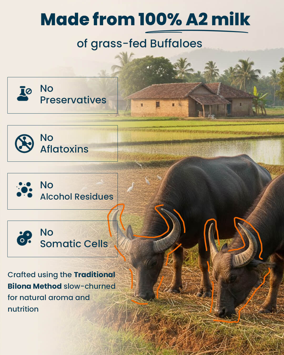 Royal A2 Buffalo Desi Ghee