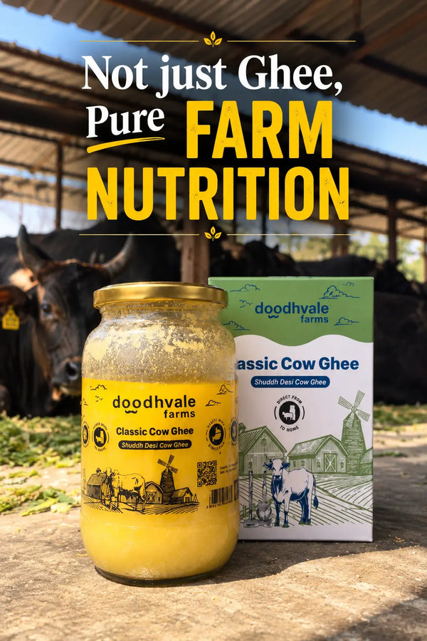 Classic Cow Bilona Ghee - Buy 1 Get 1 Free