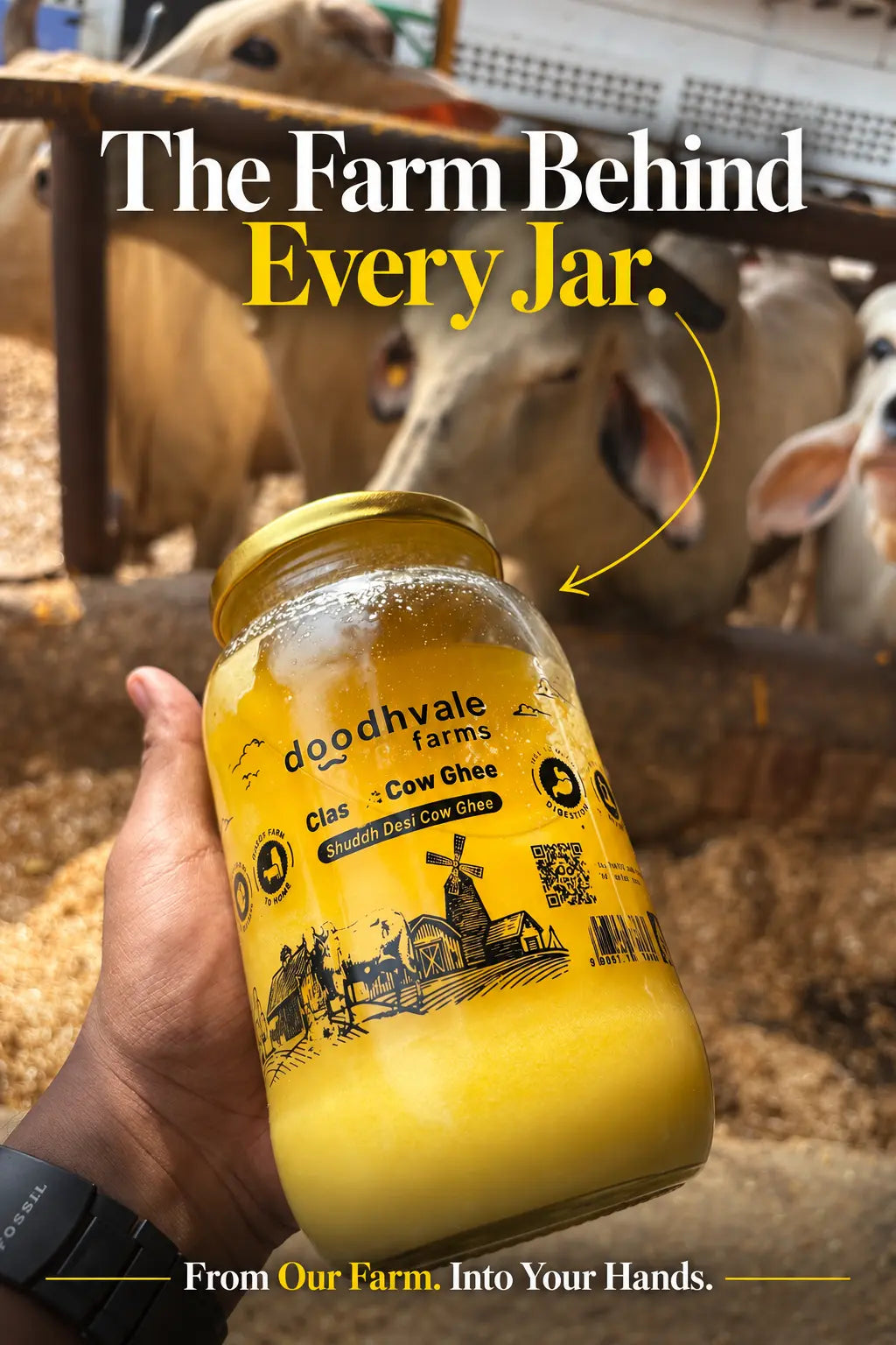 Classic Cow Bilona Ghee - Buy 1 Get 1 Free