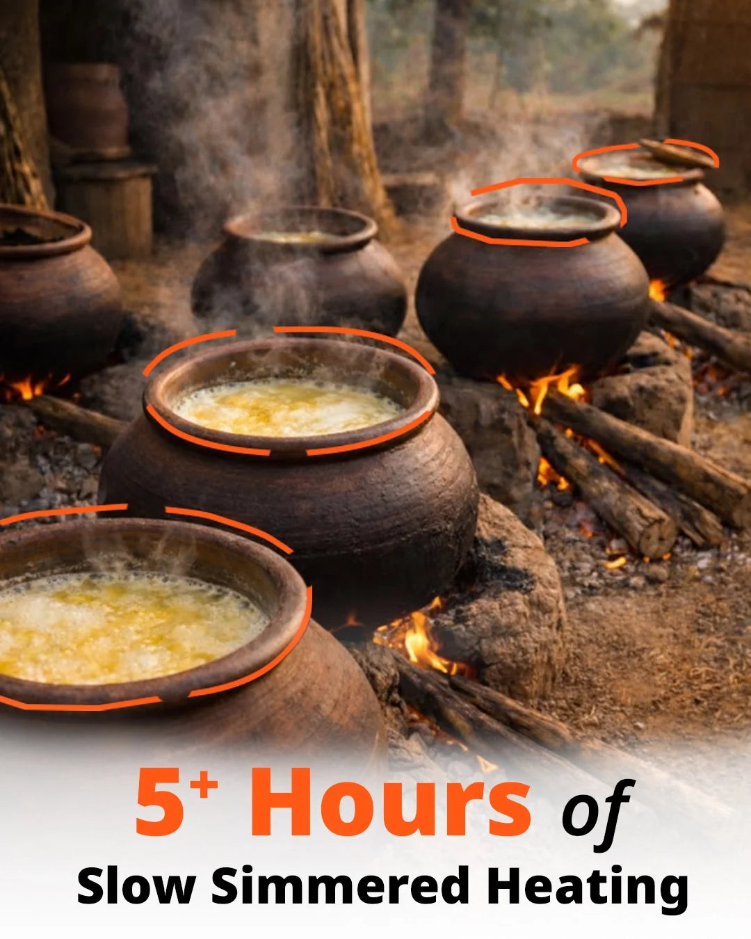 Choose your 1st Ghee