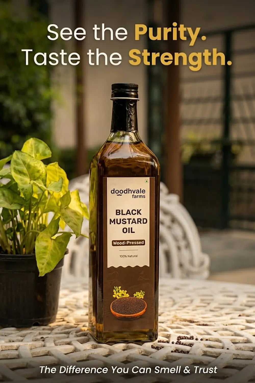 Black Mustard Oil - Wood Pressed