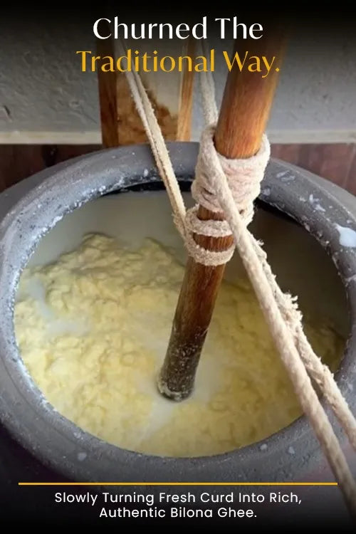 Cow A2 Vedic Desi Ghee - Buy 1 Get 1 Free