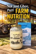 Royal A2 Buffalo Desi Ghee - Buy 1 Get 1 Free