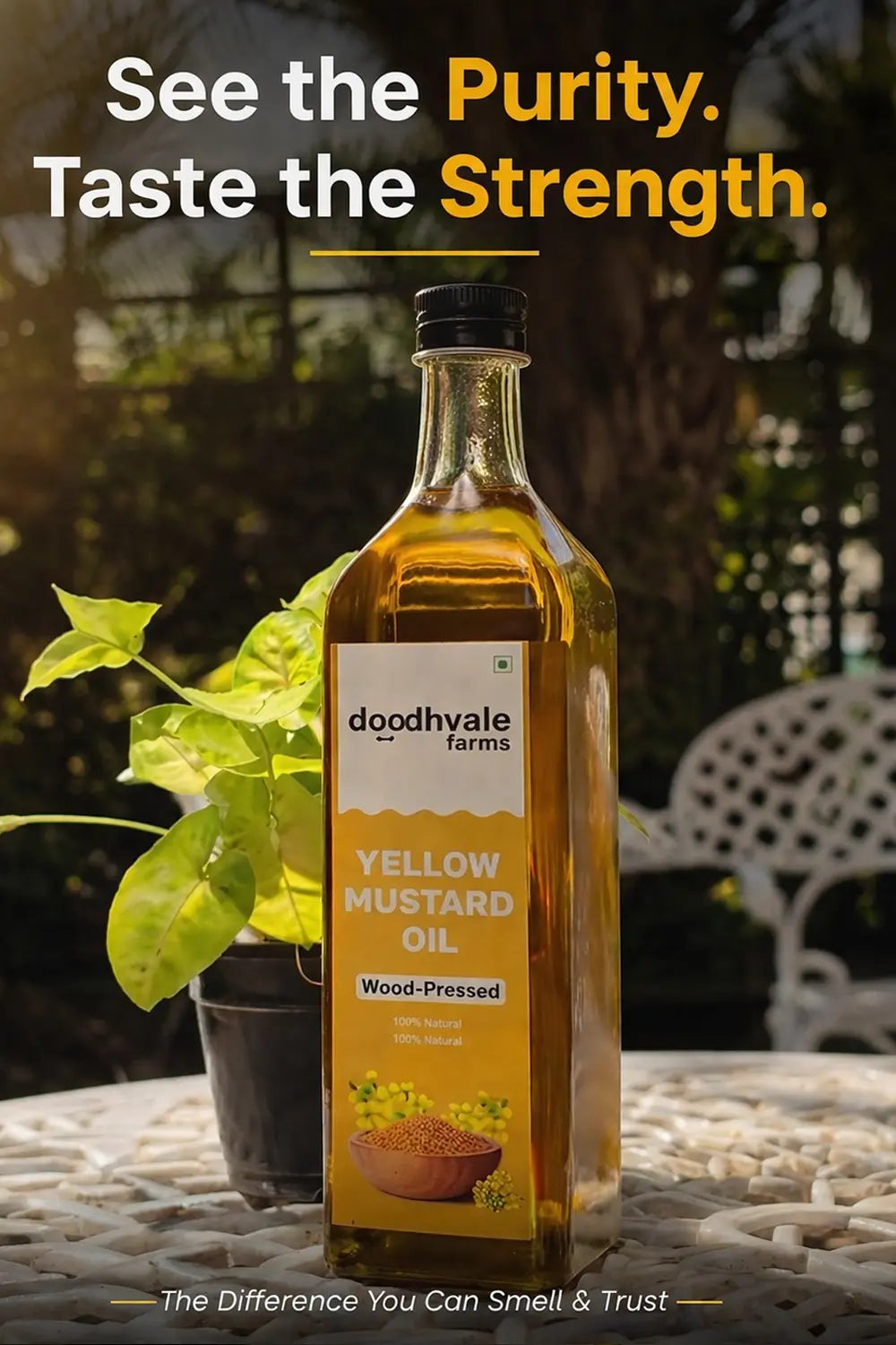 Yellow Mustard Oil - Wood Pressed 1L (2 Unit Pack)